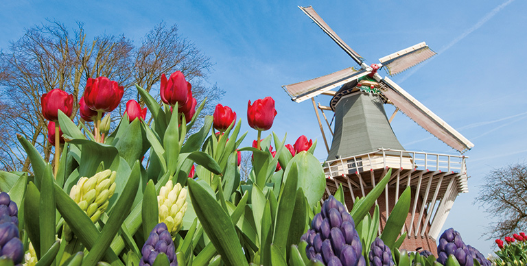 Keukenhof Gardens in spring